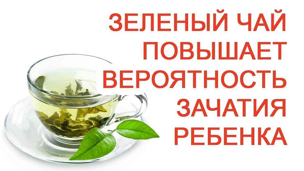 Зеленый чай для повышения фертильности: научные данные о влиянии на зачатие ребенка