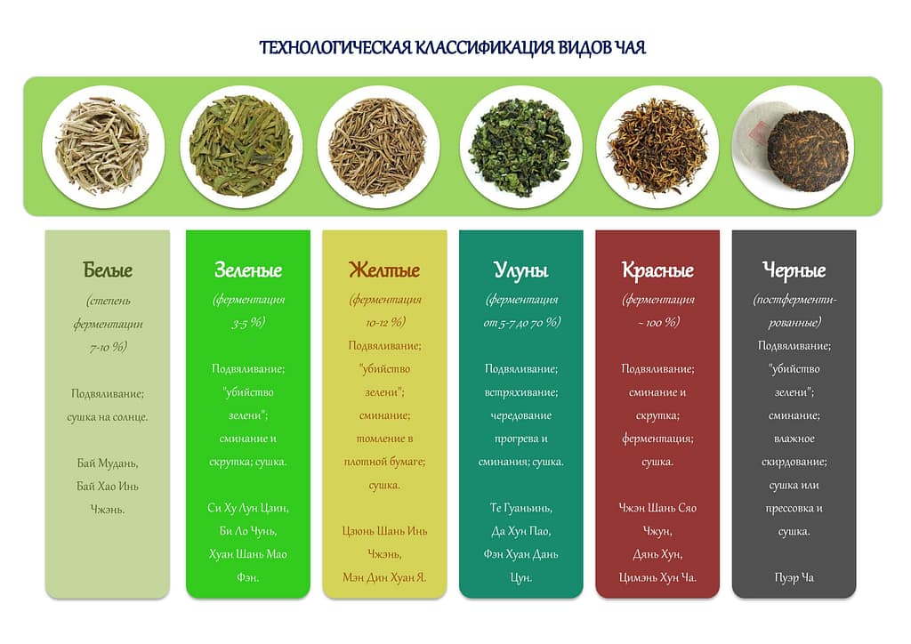 Технологическая классификация видов чая "Инфографика, показывающая технологическую классификацию различных видов чая в зависимости от степени ферментации: белый, зеленый, желтый, улун, красный и черный чай."