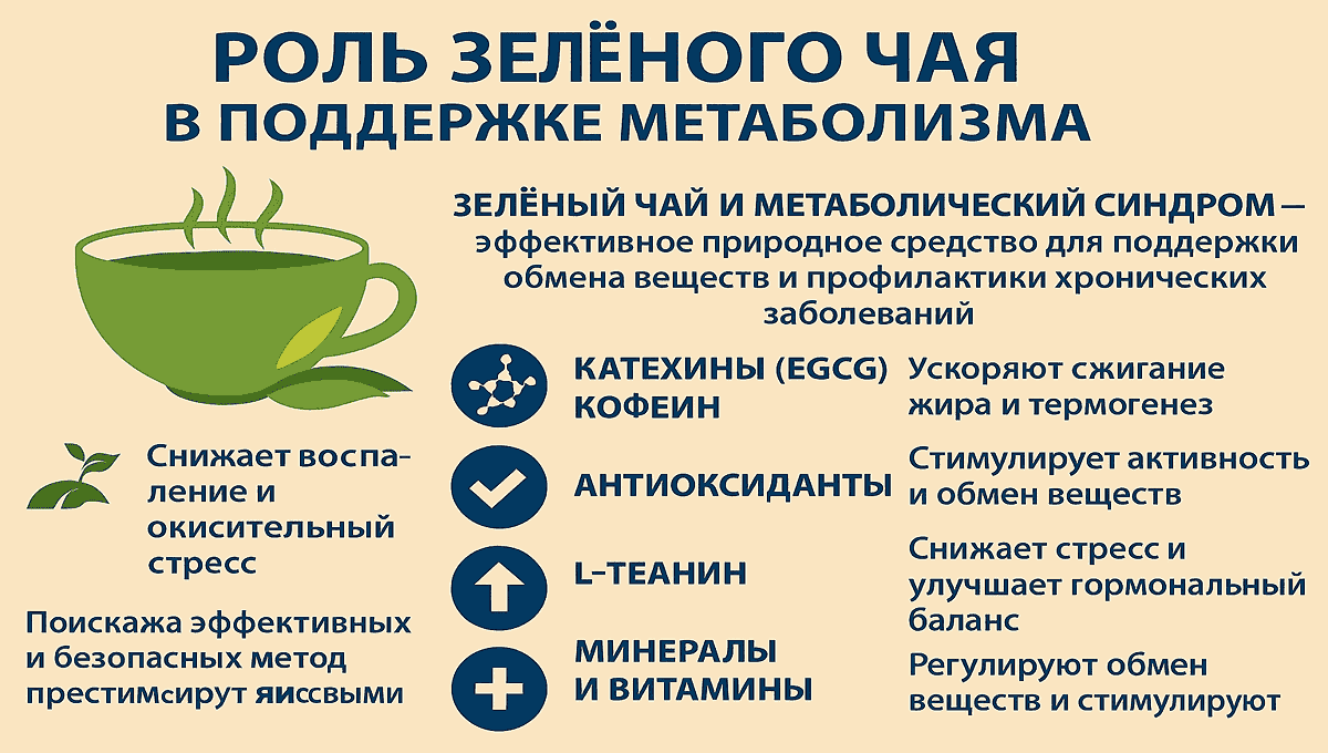Зеленый чай и метаболизм — как напиток влияет на обмен веществ Как зелёный чай помогает метаболизму — основные компоненты и их воздействие