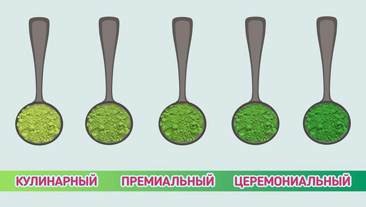 Сорта чая матча: от кулинарного до церемониального — визуальное сравнение Сравнение сортов чая матча: кулинарный, премиальный и церемониальный — оттенки зелёного порошка в ложках
