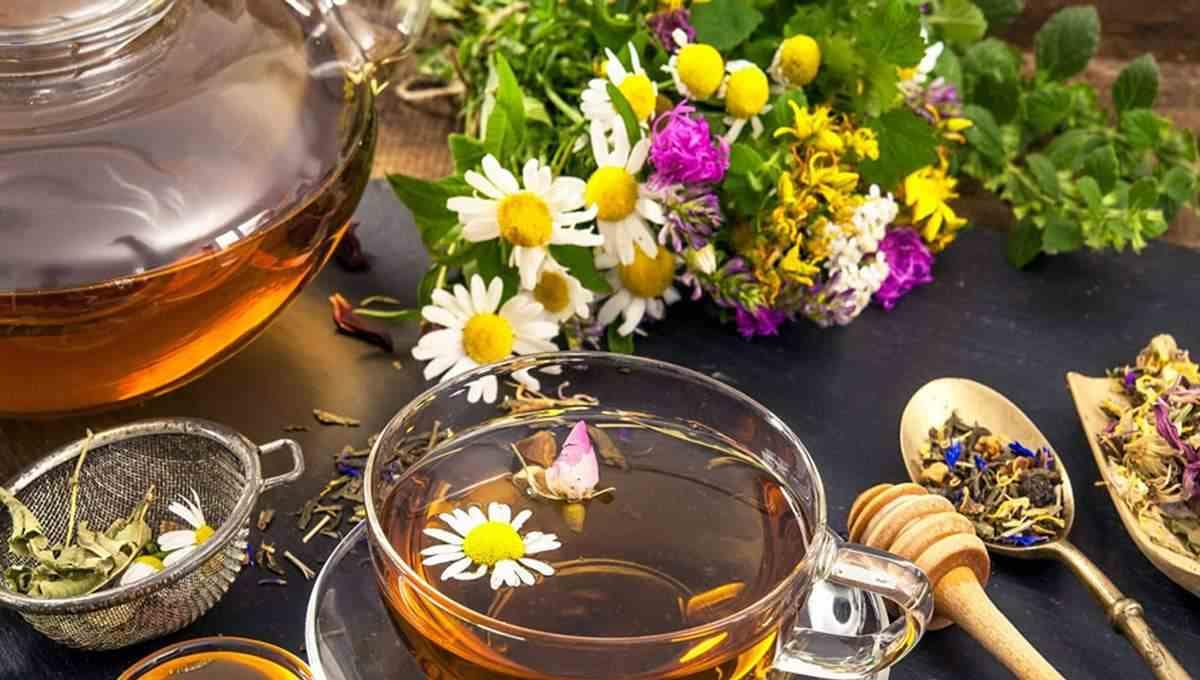 Травяные чаи своими руками: подготовка, сушка и хранение растений Травяные чаи своими руками — процесс приготовления и сушки целебных сборов