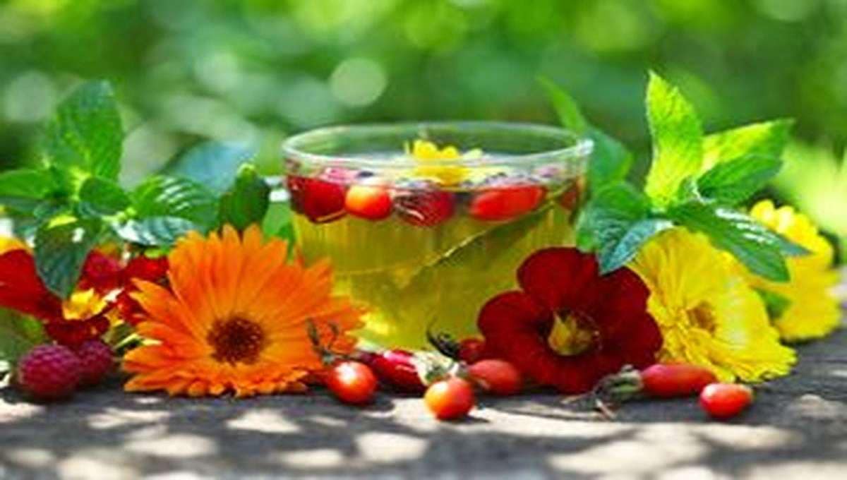 Травяной чай для здоровья: целебные травы и ягоды в одной чашке Травяные чаи для здоровья и сезонного очищения организма — подбор сборов по возрасту и состоянию