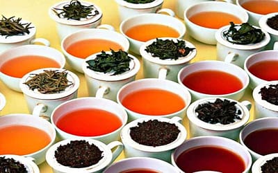 Редкие сорта зелёного чая: что попробовать?