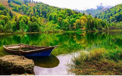 Горный травяной чай Алтая и Крыма: польза и секреты