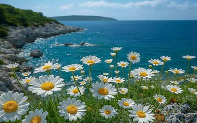 Как правильно заваривать травяные сборы для максимальной пользы