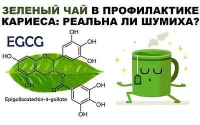 Зелёный чай против кариеса и воспаления дёсен: что говорит наука