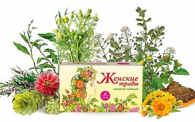 Горные травы для женщин: природный баланс и защита здоровья