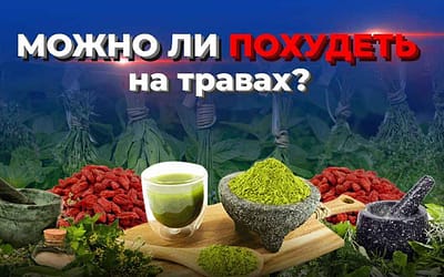 Статья 8: Лекарственные травы для похудения